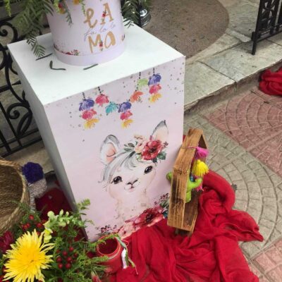 Βάπτιση με θέμα το λάμα