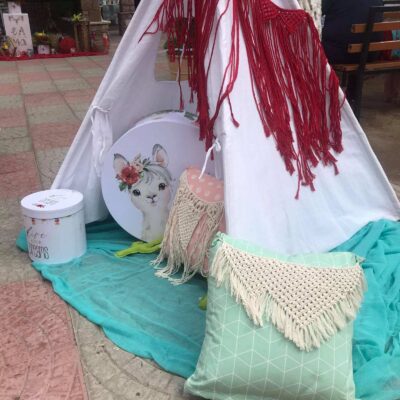 Βάπτιση με θέμα το λάμα