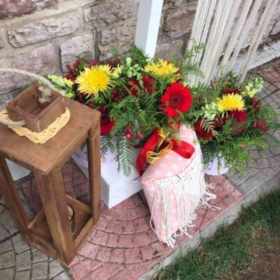 Βάπτιση με θέμα το λάμα