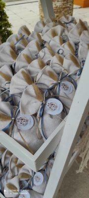 Βάπτιση με θέμα το λιονταράκι